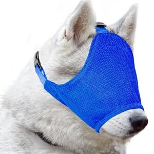 Comfortable Blue Dog Muzzle